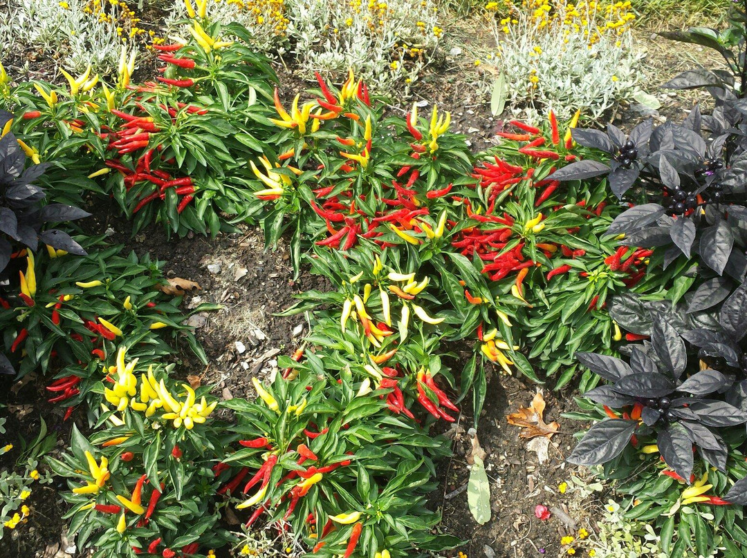 Sunken Gardens-林肯必去景点