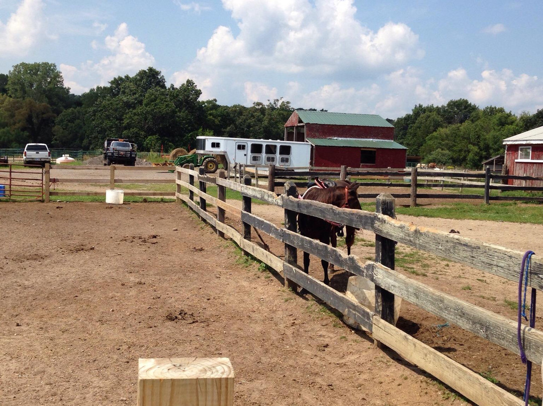 Brighton Recreation Area-Howell必去景点