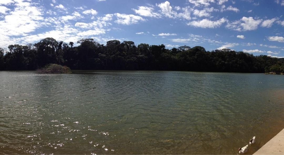 Represa João Gasparini-维涅杜必去景点