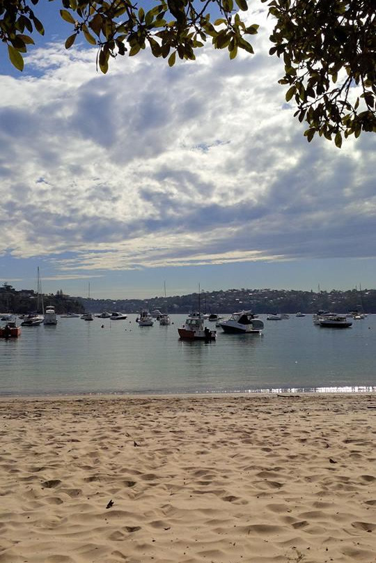Walking Trail To Chowder Bay景点图片