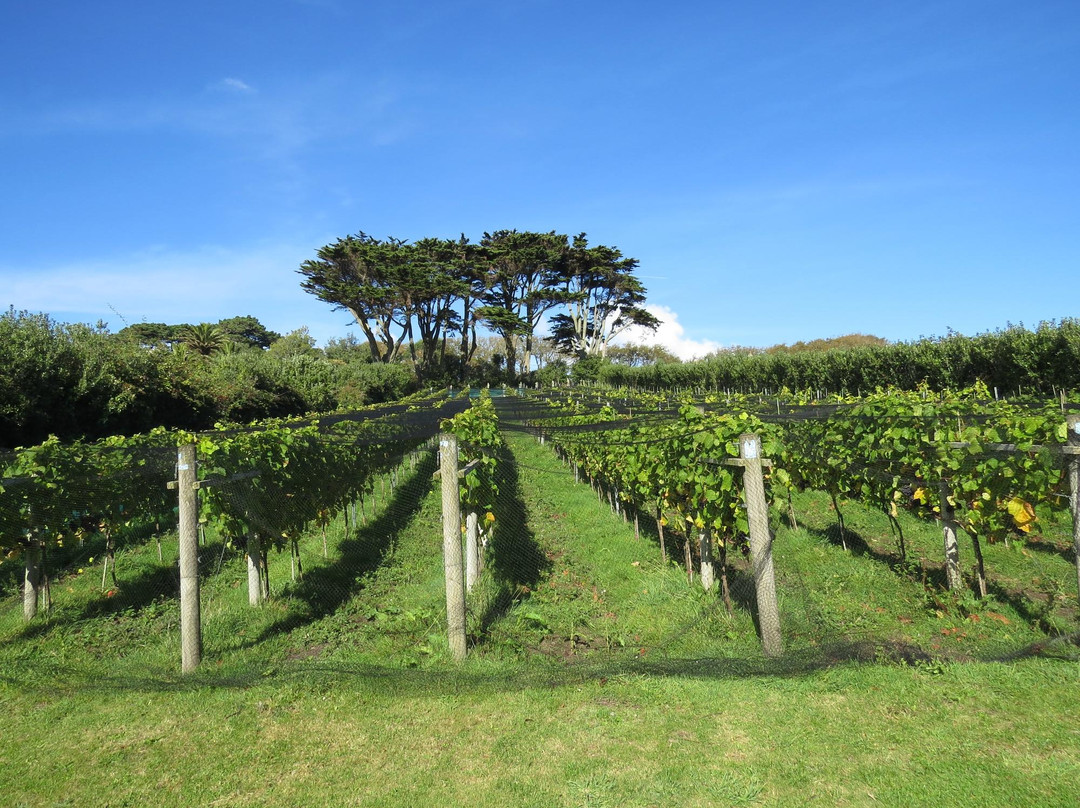 Holy Vale Wines-St Mary's必去景点