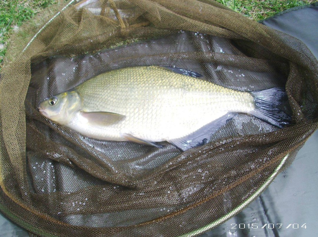 Upper Farm Fishery景点图片