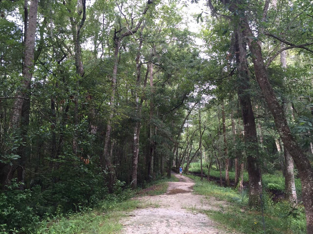 Savannah-Ogeechee Canal Museum and Nature Center-萨凡纳必去景点