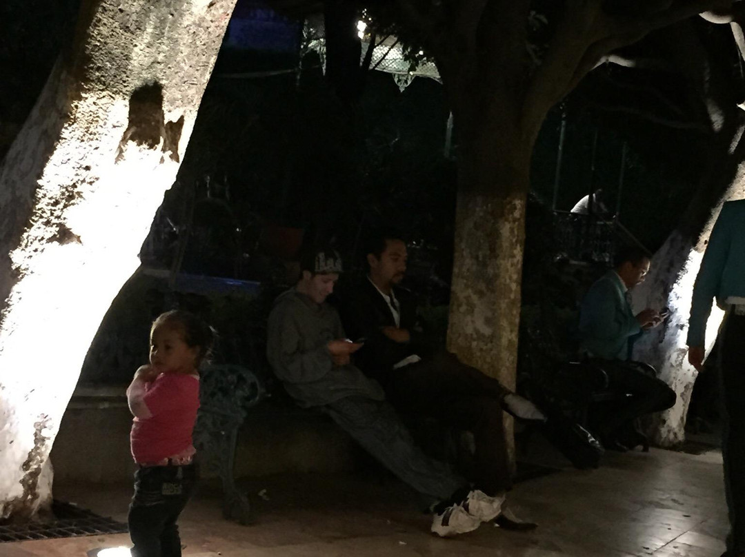 联合花园景点图片
