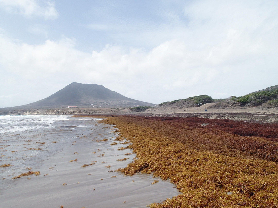 Zeelandia Beach-圣尤斯泰希厄斯岛必去景点