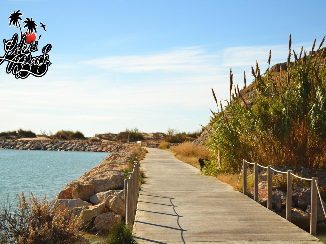 Life is a Beach Barcelona's Uutback Tours - Tour-卡斯特尔德费尔斯必去景点