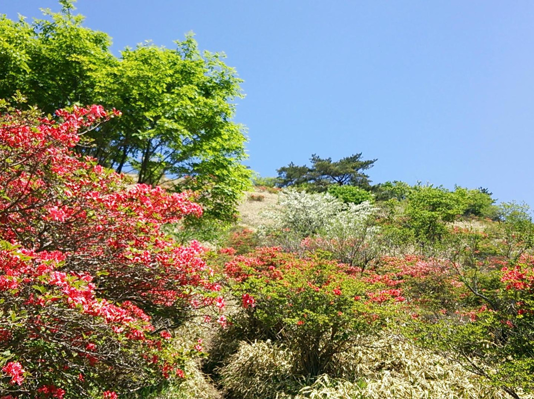Mt. Nabewari-前桥县必去景点