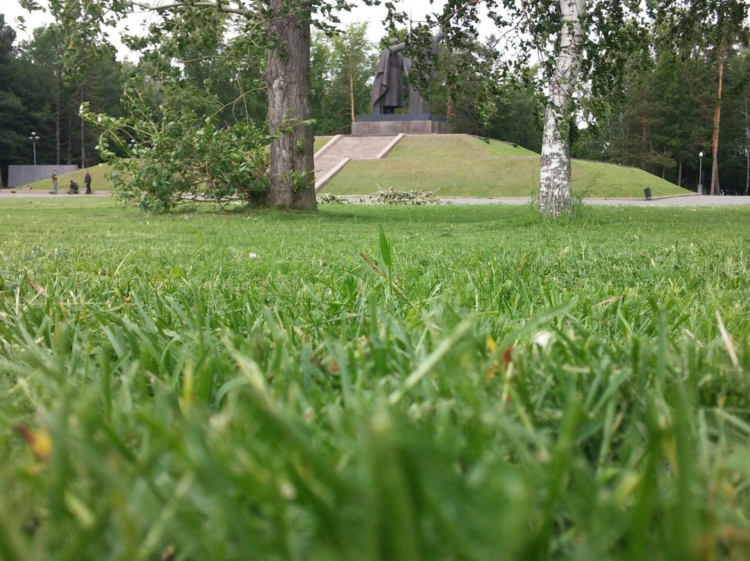 Camp Garden景点图片