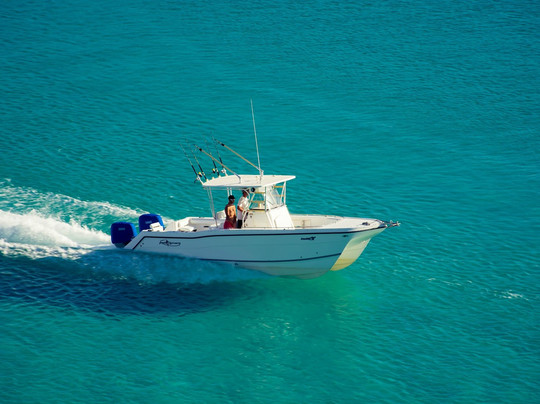 Baja Adventure Co.-拉巴斯必去景点