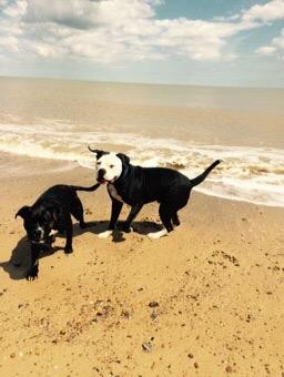 Dunwich Heath and Beach-Dunwich必去景点