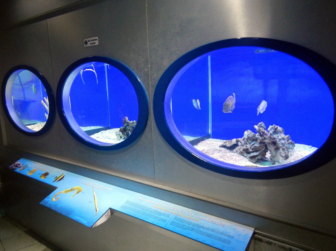 Labuan Marine Museum-纳闽必去景点