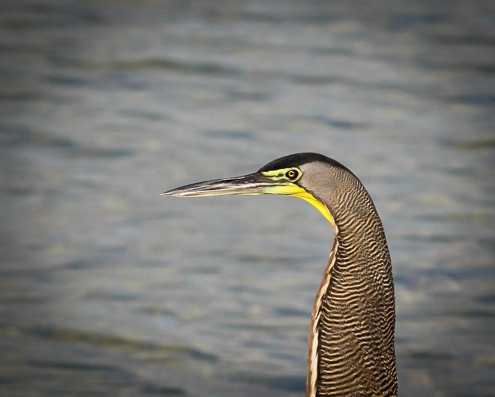 Green Paddle Sian Kaan Tours-锡安卡恩必去景点