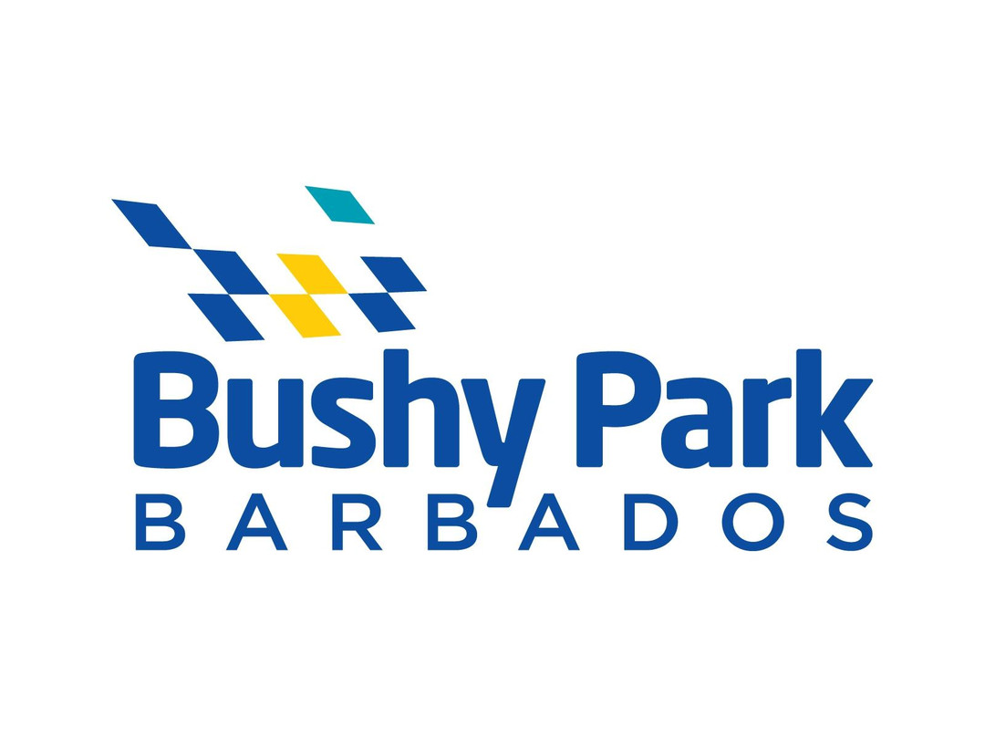Bushy Park Barbados Driving Experiences-Saint Philip Parish必去景点