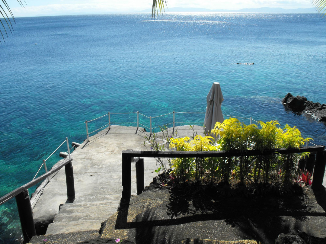 Pro Dive-塔韦乌尼岛必去景点