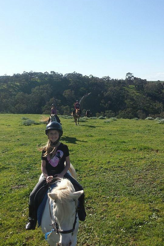 Nyroca Riding Centre景点图片