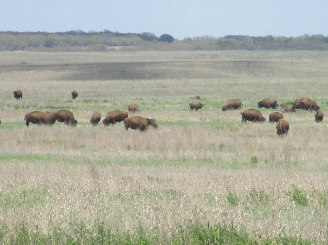 Joseph H. Williams Tallgrass Prairie Preserve-Pawhuska必去景点