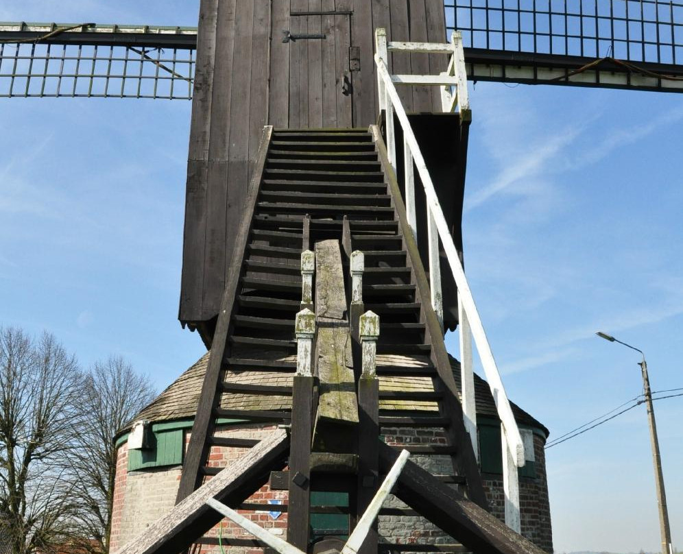 Aalbeke Windmill景点图片