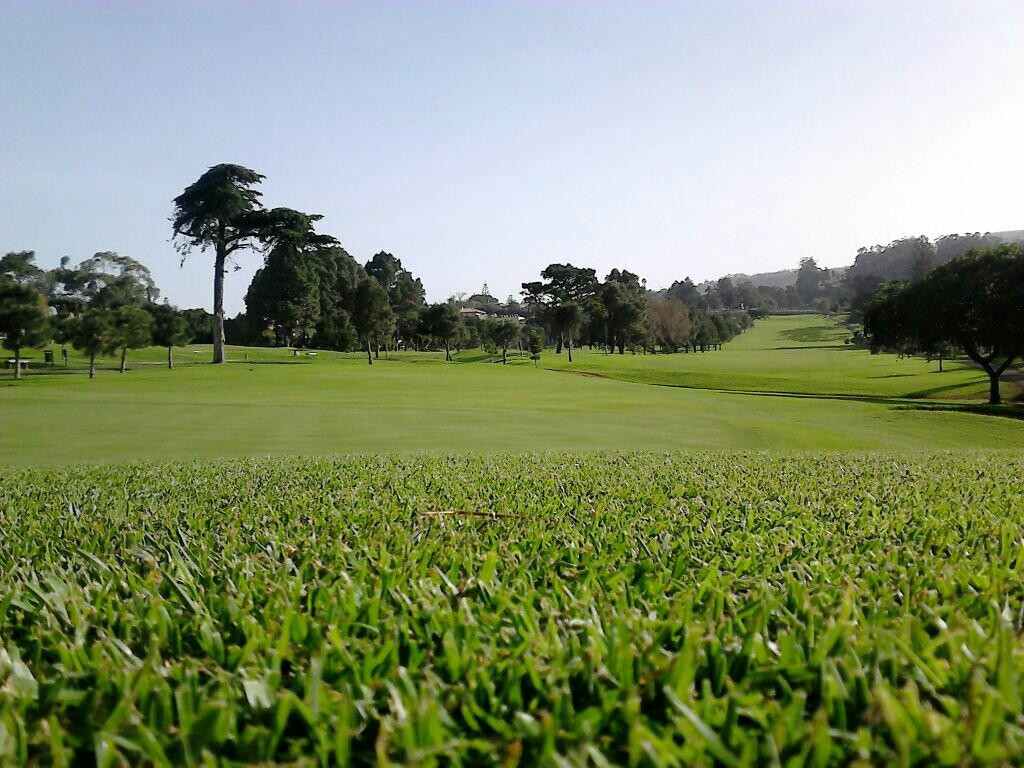Real Club de Golf de Tenerife景点图片