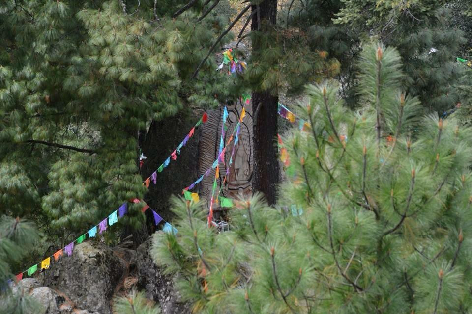 Parque Ejidal San Nicolas Totolapan-墨西哥城必去景点