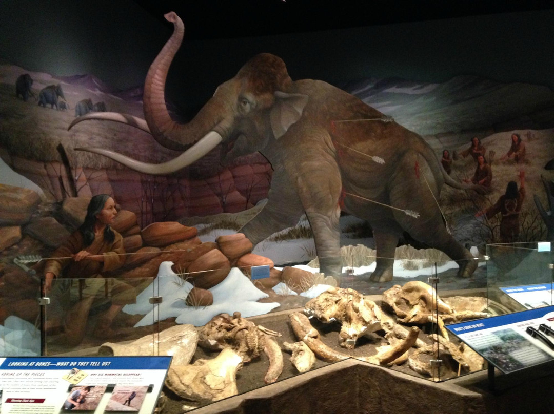 Washakie Museum & Cultural Center-Worland必去景点