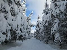 Osceola Tug Hill Ski Center-Camden必去景点