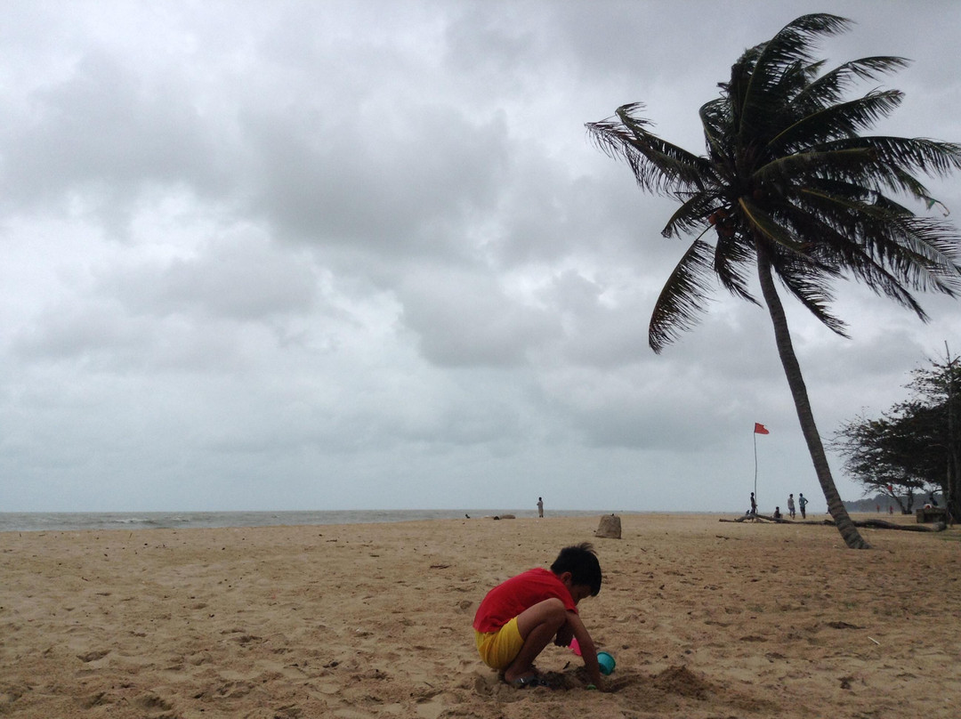 Desaru Beach景点图片