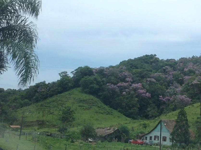 Serra Dona Francisca-Joinville必去景点