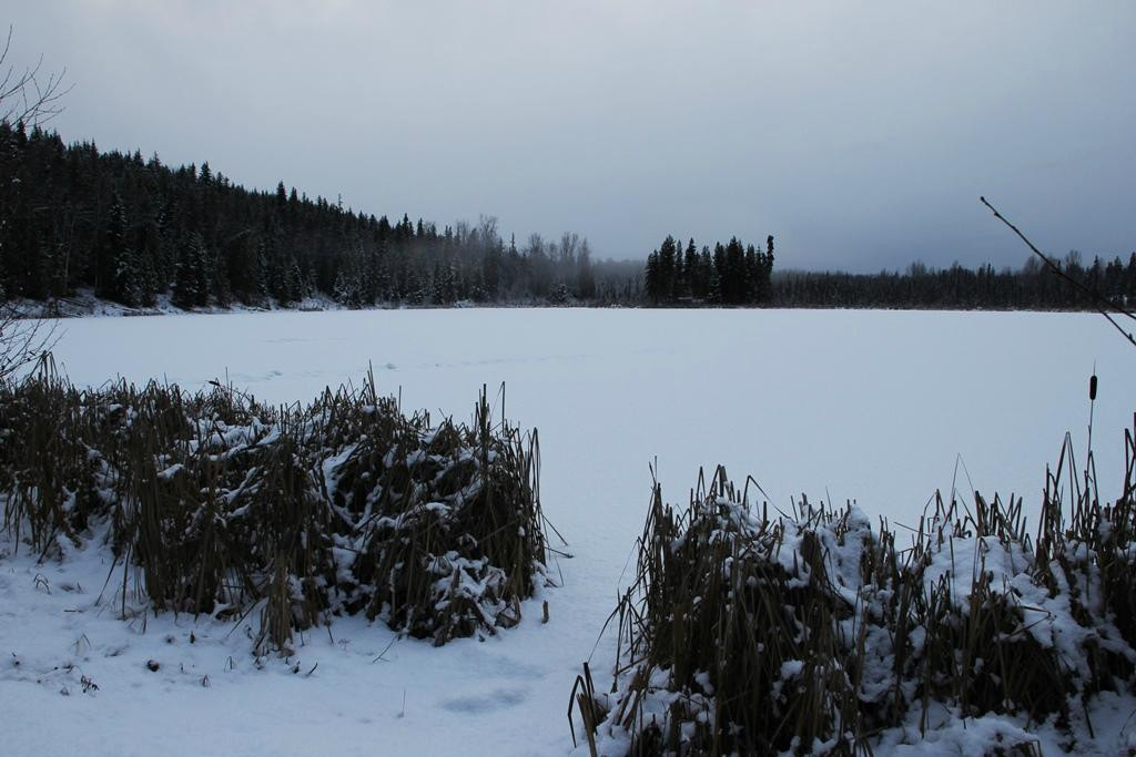 Seeley Lake Provincial Park景点图片