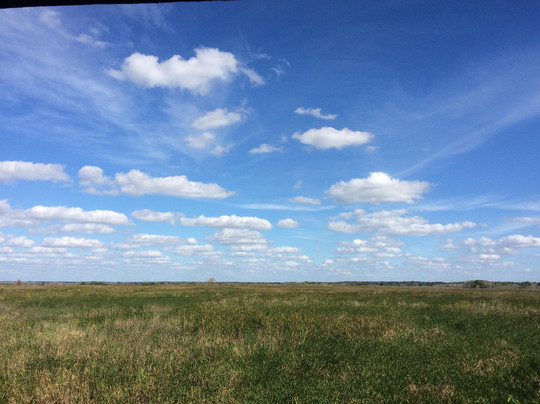Crowley Museum and Nature Center-萨拉索塔必去景点