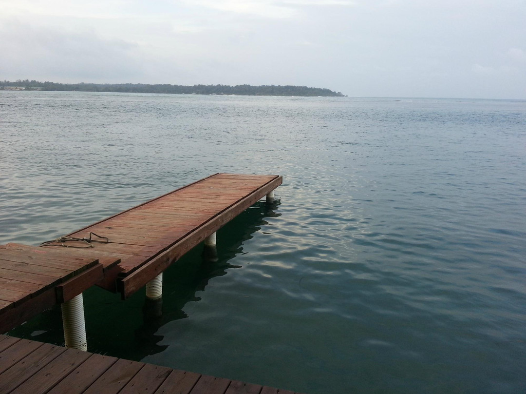 Bocas Surf School & Hostel景点图片