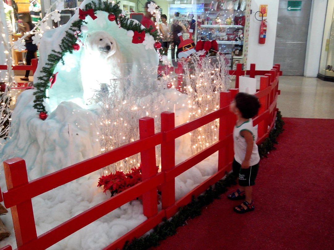 Sider Shopping景点图片