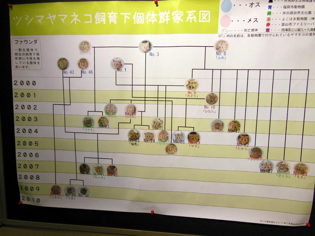 Tsushima Wildlife Conservation Center-对马市必去景点