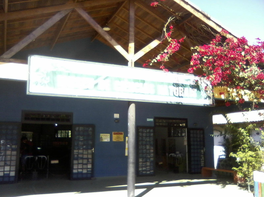 Natural Science Museum-瓜鲁柳斯必去景点