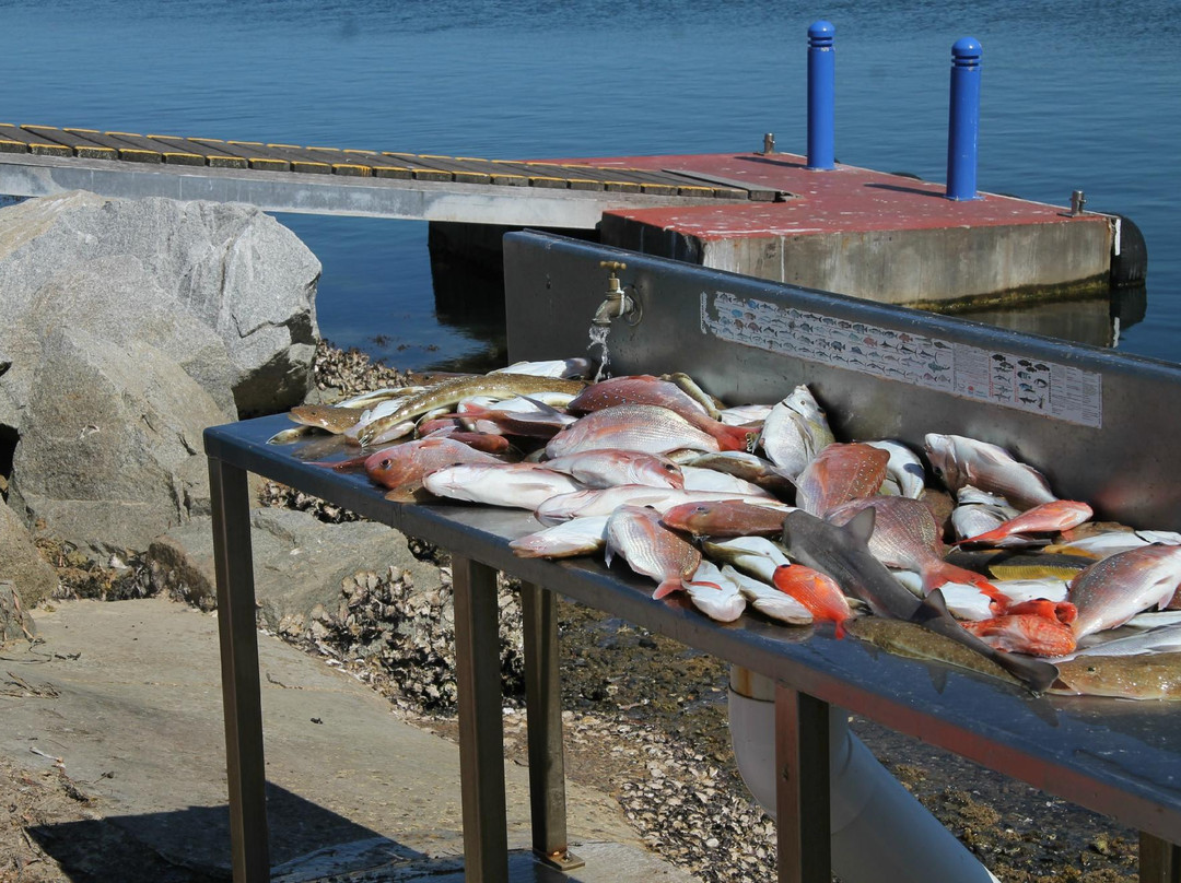 Narooma Fishing Charters景点图片