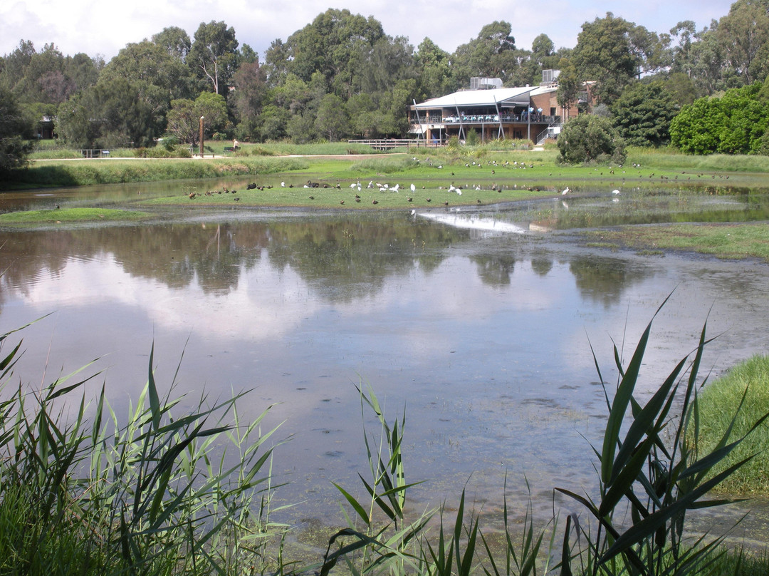 Hunter Wetlands Centre景点图片