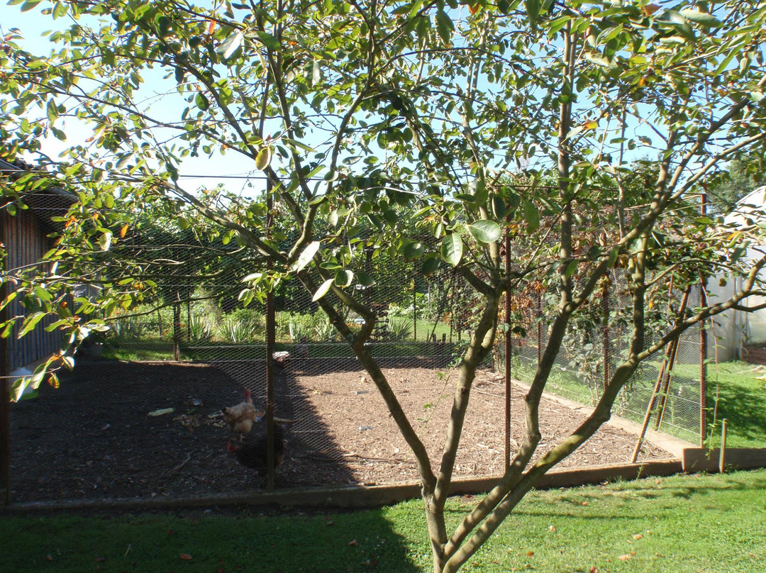 Le Clos des Fontaines主图