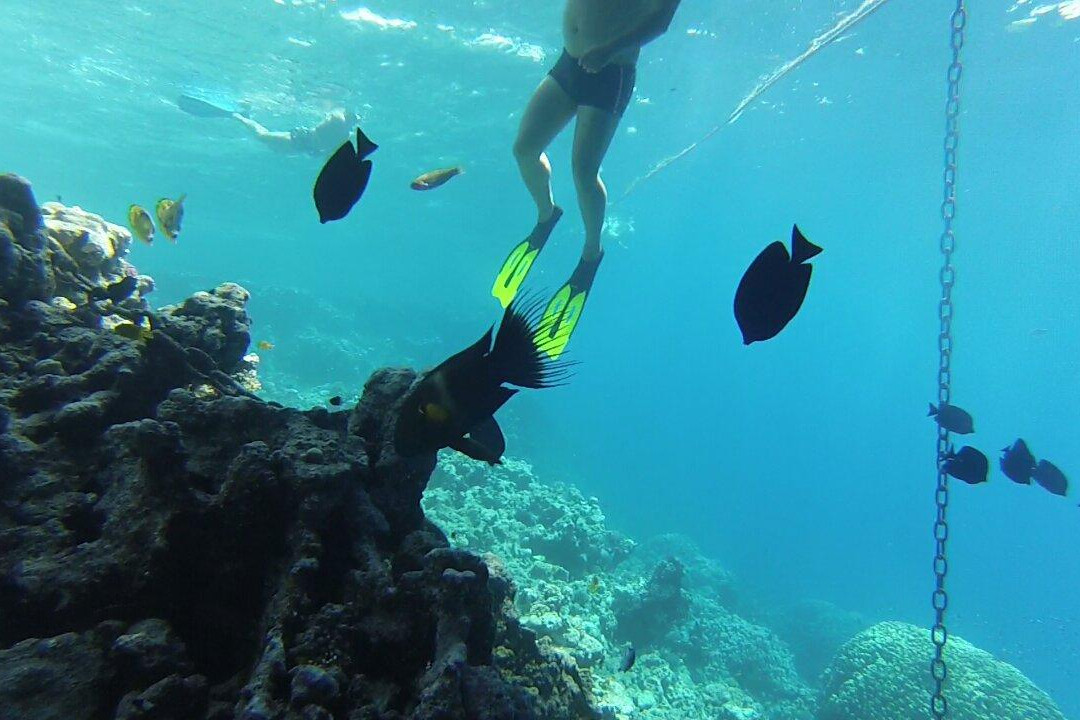 dive1one-沙姆沙伊赫必去景点