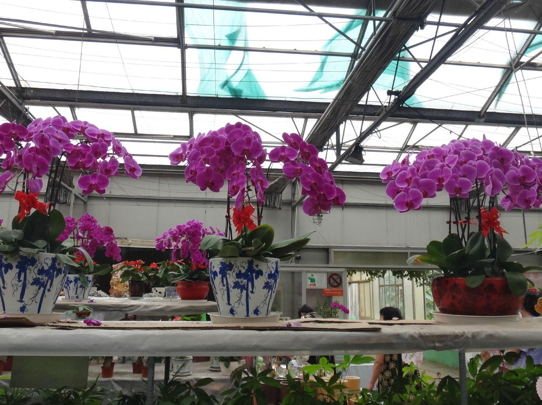 集发农业观光园-秦皇岛市必去景点