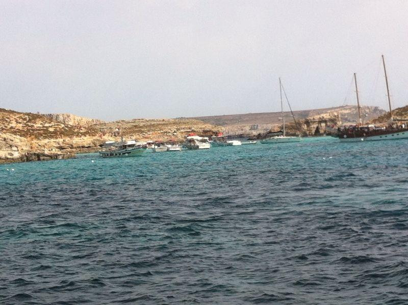 Seahorse Cruises-Bugibba必去景点