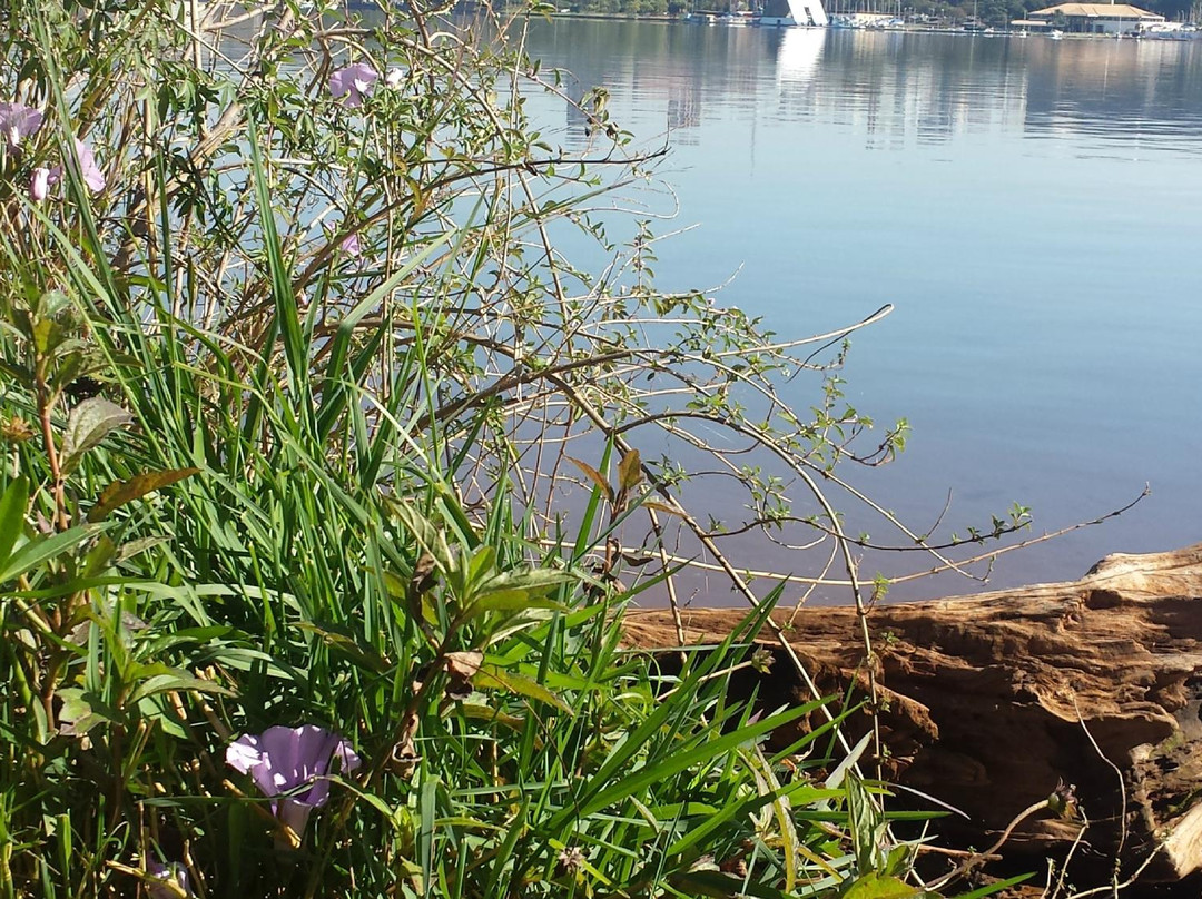 Lago Sul旅游景点-Parque Ecologico Peninsula Sul