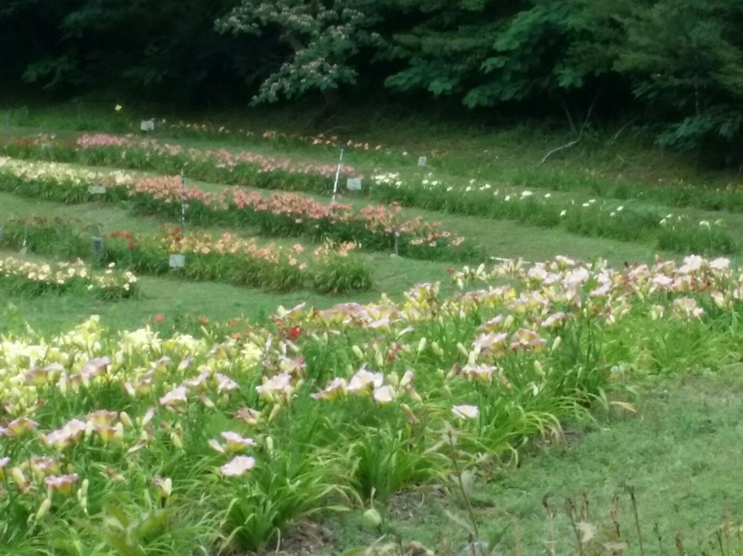 The Lily Barn Garden-汤森必去景点