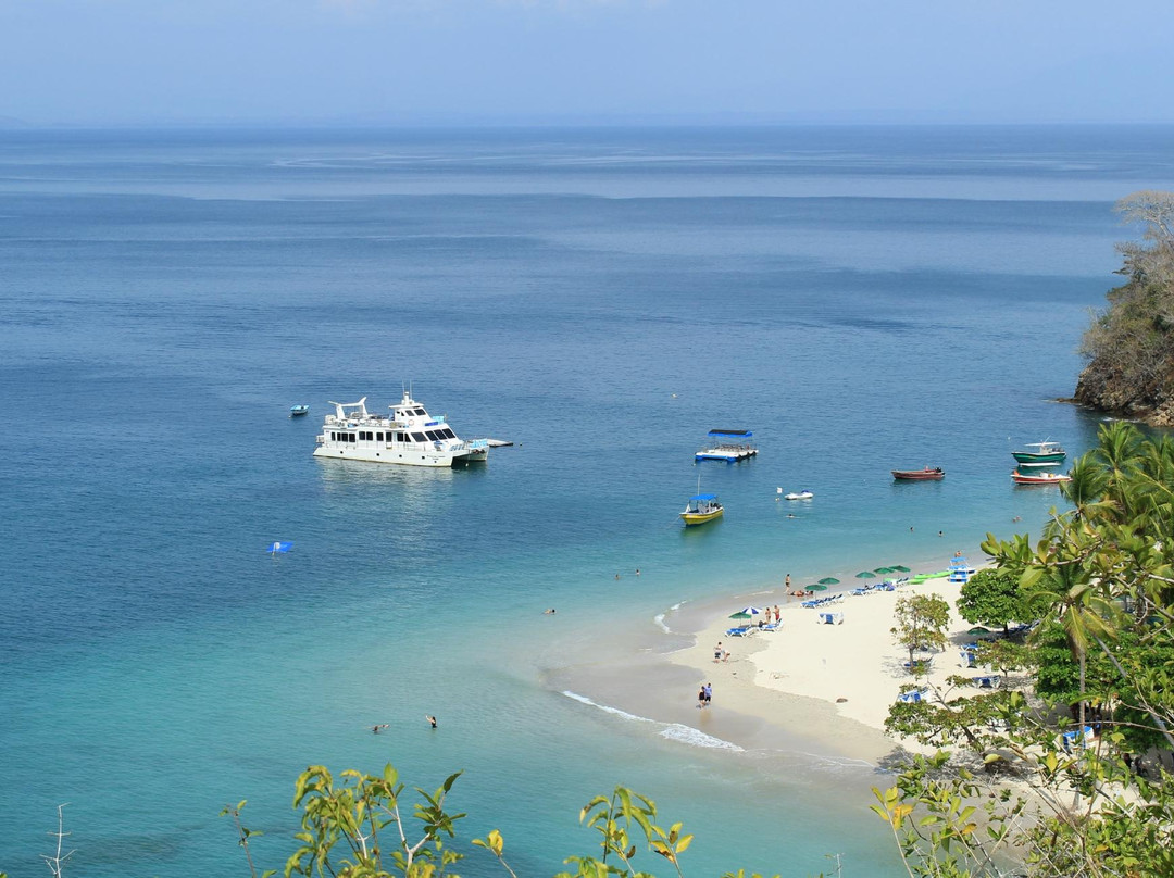 Bay Island Cruises - Day Tours景点图片