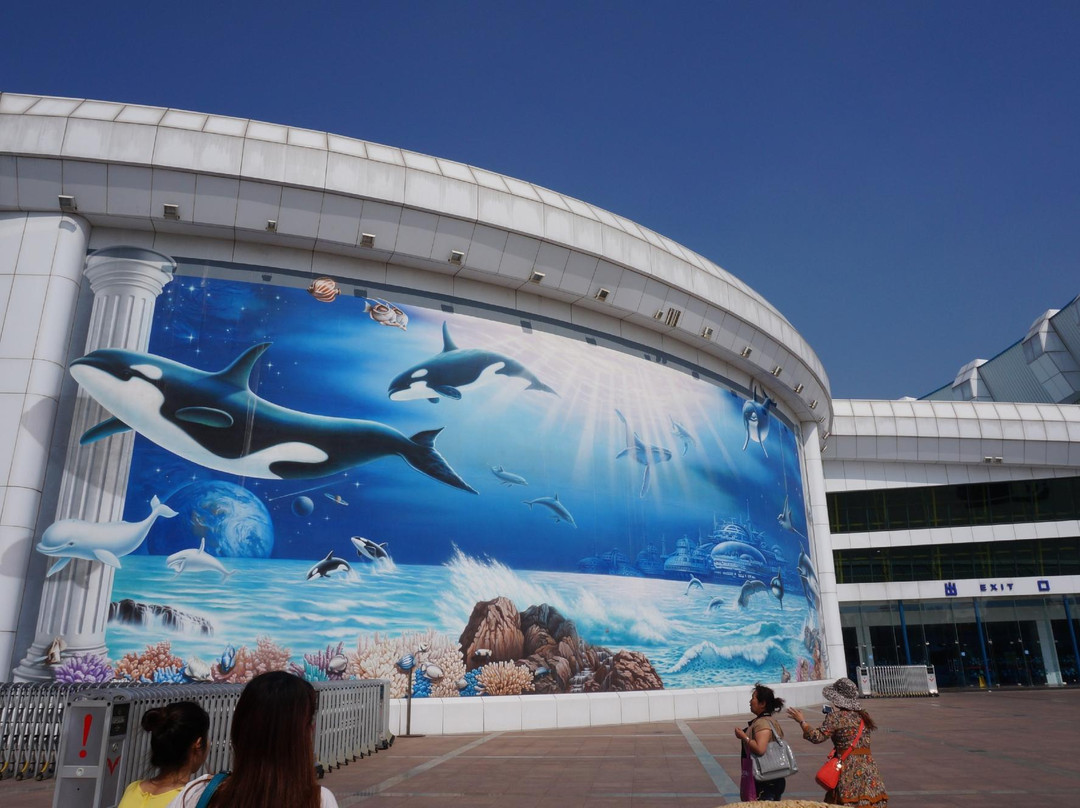 北京海洋馆-北京市必去景点