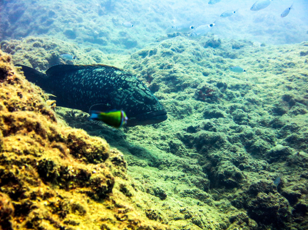 Incekum旅游攻略图片