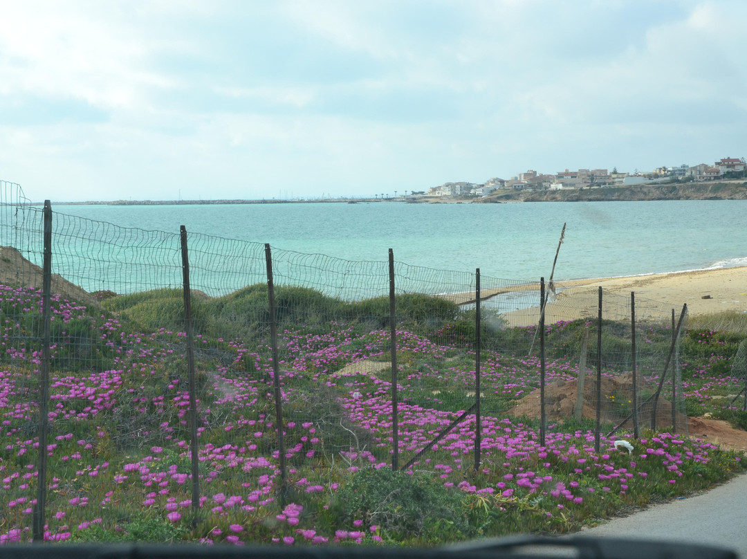 Scoglitti旅游景点-Scoglitti Porto