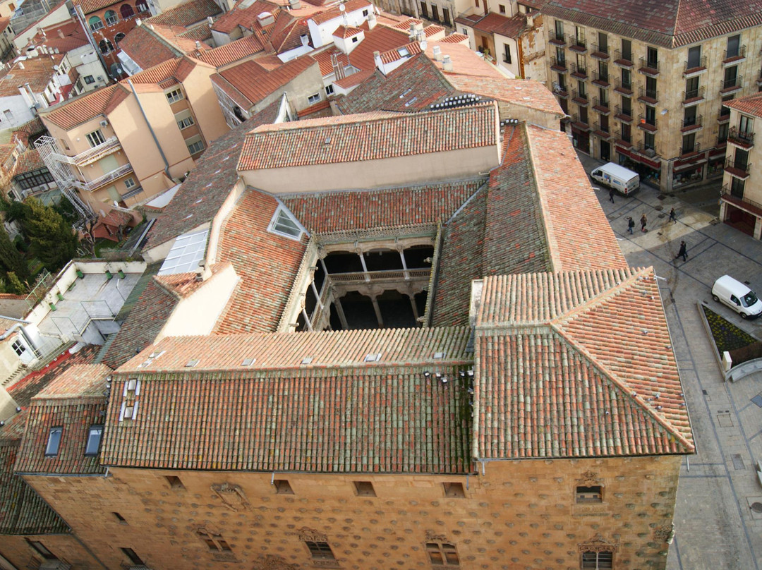Scala Coeli Torres de la Clerecia景点图片