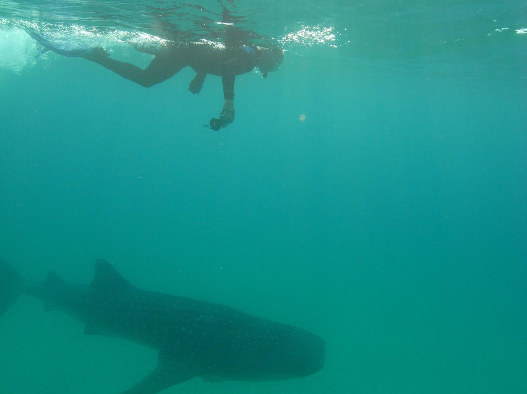 Barra Dive Resort-Inhambane必去景点