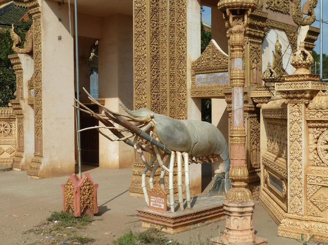 鳄鱼展-金边必去景点