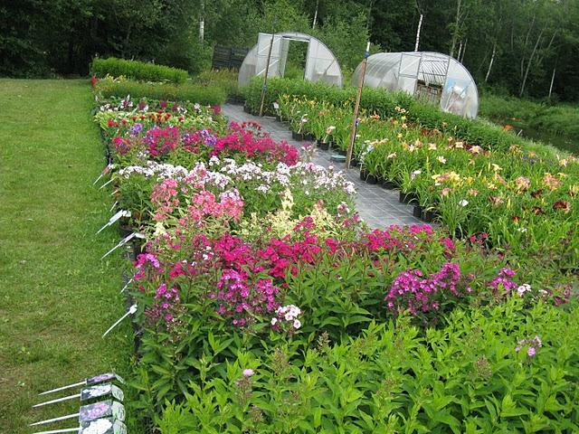 Norga Farm Gardens景点图片