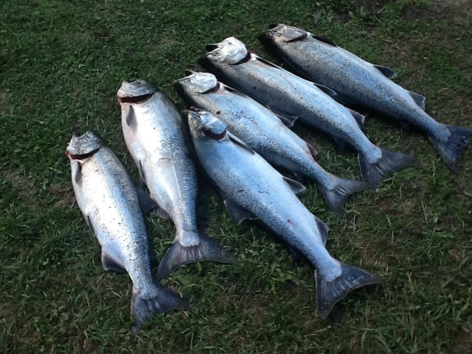 King of the Rogue Outfitters-Rogue River必去景点